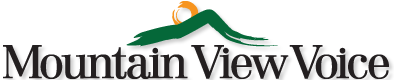 Grand jury report blasts VTA for inefficiencies, poor oversight | News |  Mountain View Online |